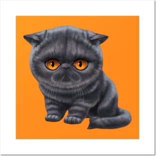 Cat-a-clysm exotic shorthair kitten Posters and Art